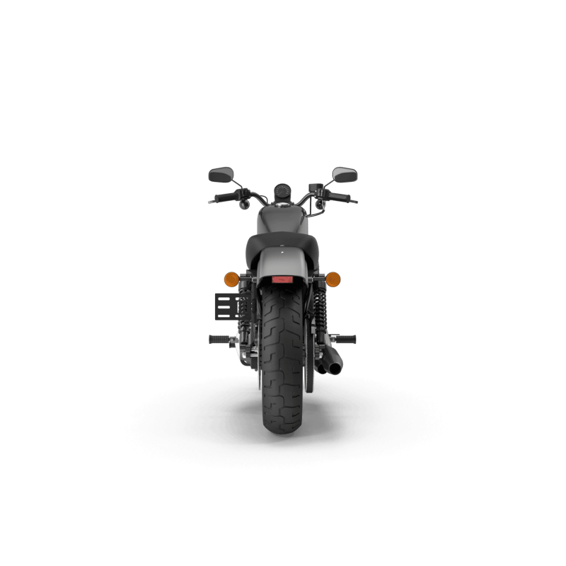 Cruiser Motorcycle
