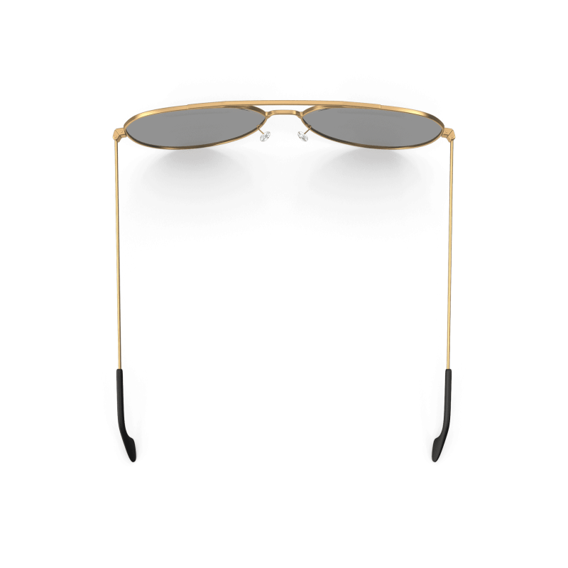 Gold Rimmed Aviators