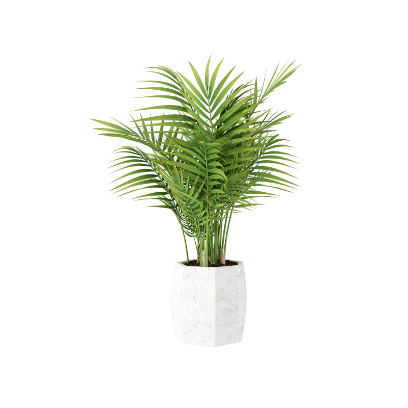 Plant Decor 02
