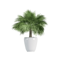 Plant Decor 02
