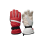Ski Gloves 05