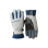 Ski Gloves 06
